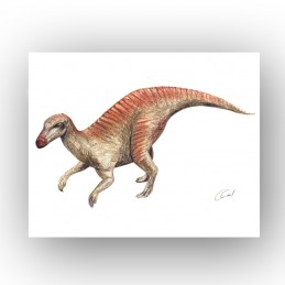 Bild Dino VELOCIRAPTOR,...