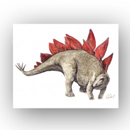 Bild Dino STEGOZAUR, waagrecht