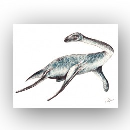 Bild Dino PLEJOZAUR, waagrecht