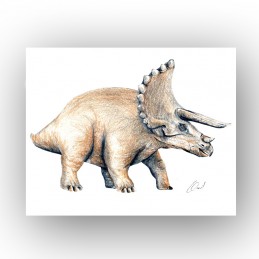 Bild Dino TRICERATOPS,...