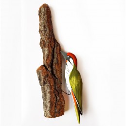 Vogel auf Baumrinde GRÜNSPECHT