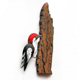 Vogel auf Baumrinde SPECHT