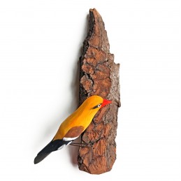 Vogel auf Baumrinde PIROL