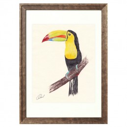 Bild Vogel TUKAN