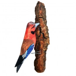 Vogel auf Baumrinde GROßER...