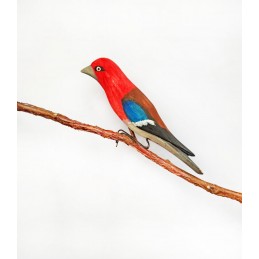 WEBERVOGEL – EIN VOGEL AUS...