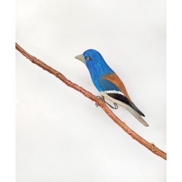 BLAURACKE - EIN VOGEL AUS...